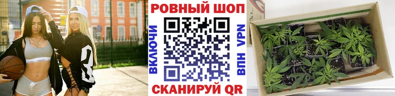 Кодеин Саранск