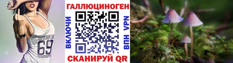 Псилоцибиновые грибы GOLDEN TEACHER закладка Саранск